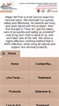 Mobile Screenshot of magicnitpick.com
